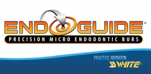 EndoGuide&reg;